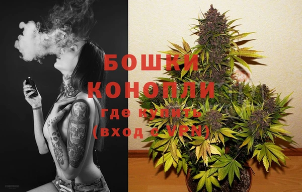 гашик Богородск